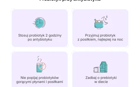 Jak długo brać probiotyk po antybiotyku? Stosuj go 2h po antybiotyku, z posiłkiem, najlepiej na noc. Nie popijaj gorącymi płynami. Zadbaj o prebiotyki.