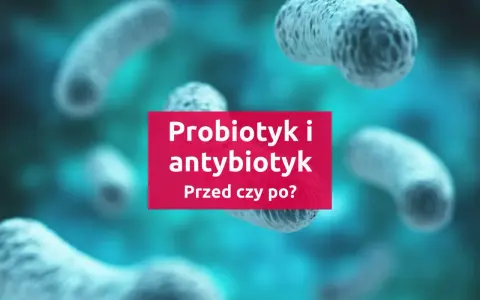 Probiotyk i antybiotyk: kiedy stosować? W tle bakterie.