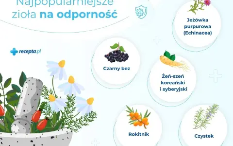 Najpopularniejsze zioła na odporność: jeżówka, czarny bez, żeń-szeń, rokitnik, czystek. Dowiedz się, jakie zioła na odporność wybrać.