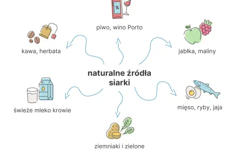 Naturalne źródła siarki: kawa, herbata, piwo, wino, jabłka, maliny, mleko, ziemniaki, warzywa liściaste, mięso, ryby, jaja.