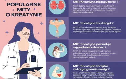 Grafika obala popularne mity o kreatynie, wyjaśniając, co to jest i jak działa.