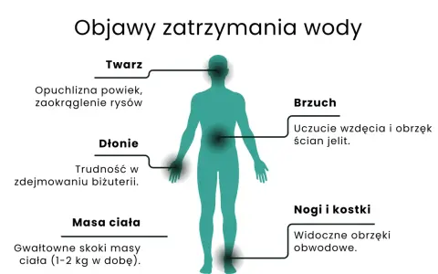 Objawy zatrzymania wody: opuchlizna twarzy, trudność w zdejmowaniu biżuterii, wzdęcia, nagłe skoki masy ciała, obrzęki nóg i kostek.
