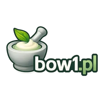 Logo bow1.pl